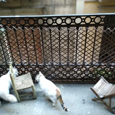 Charming Homestay Barcelona